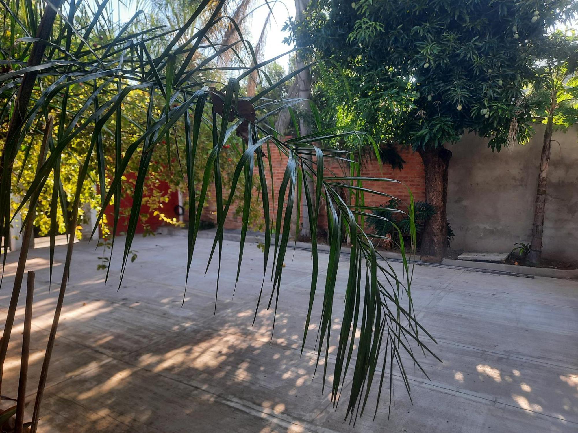 פוארטו איגואסו La Posada De Dante מראה חיצוני תמונה
